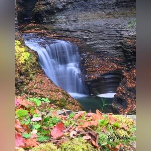 Nature Waterfall Art Print with Autumn Leaves 8x10